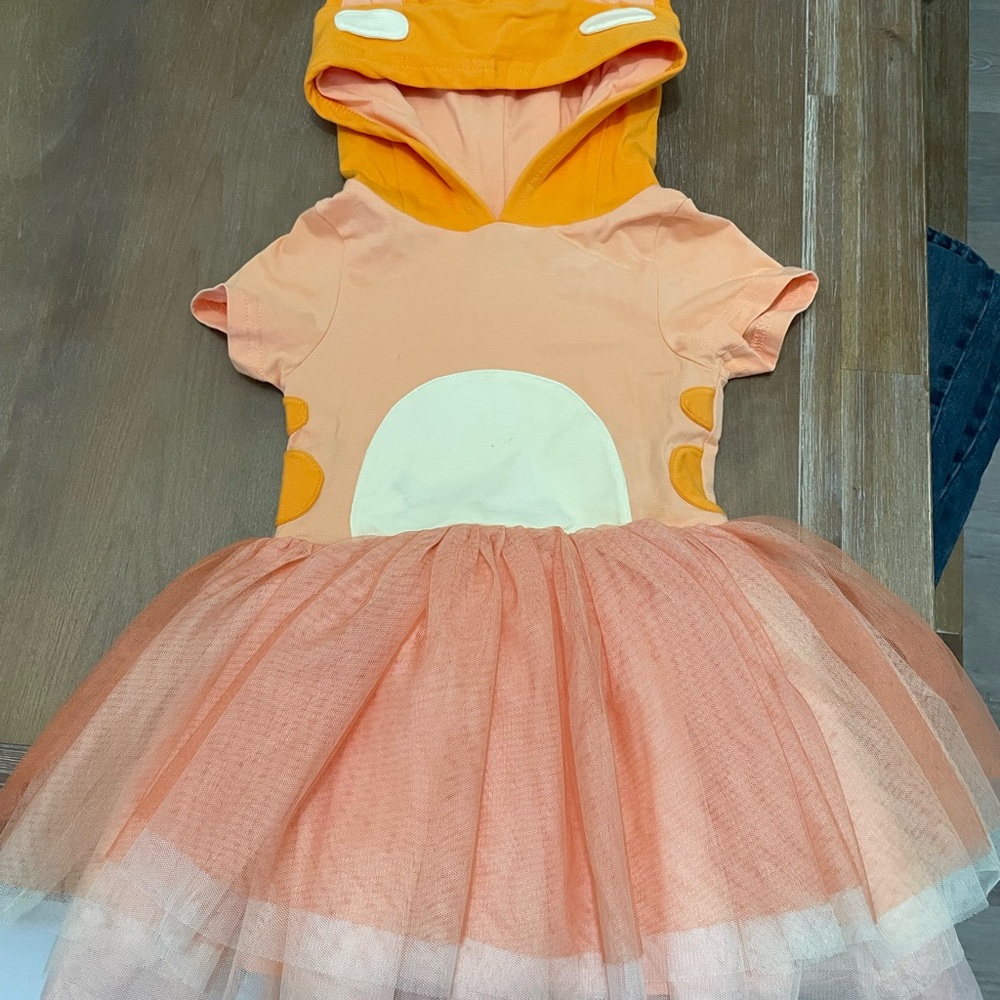 Kids Orange Costume with Tulle Skirt